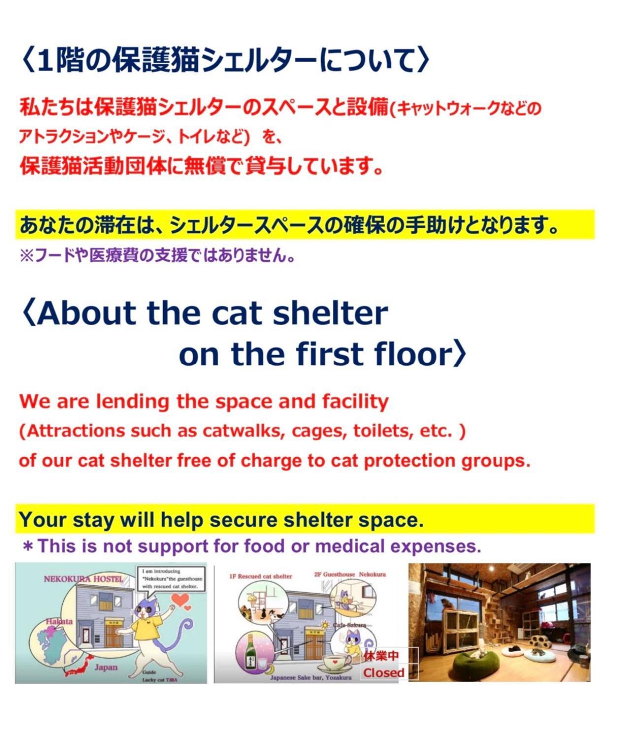 Nekokura Hostel Fukuoka  Exterior photo